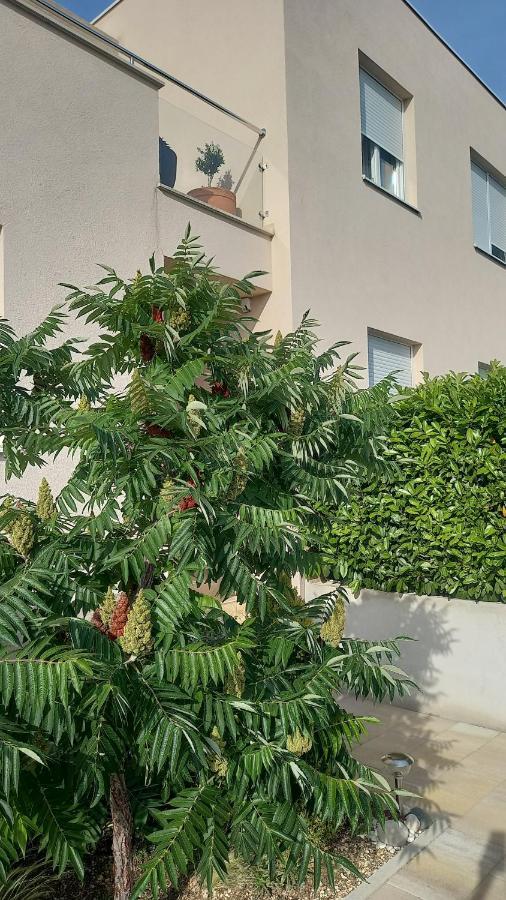 Apartment Dandelion Brela Exterior photo